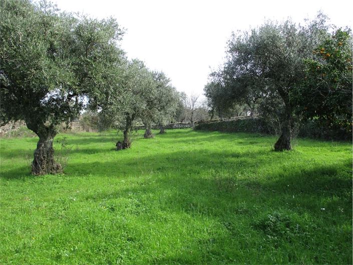 Image No.18-Property for sale