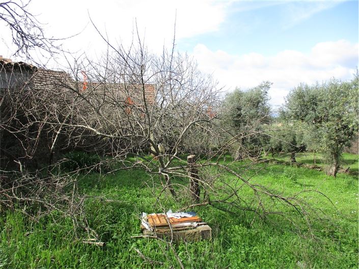 Image No.2-Property for sale