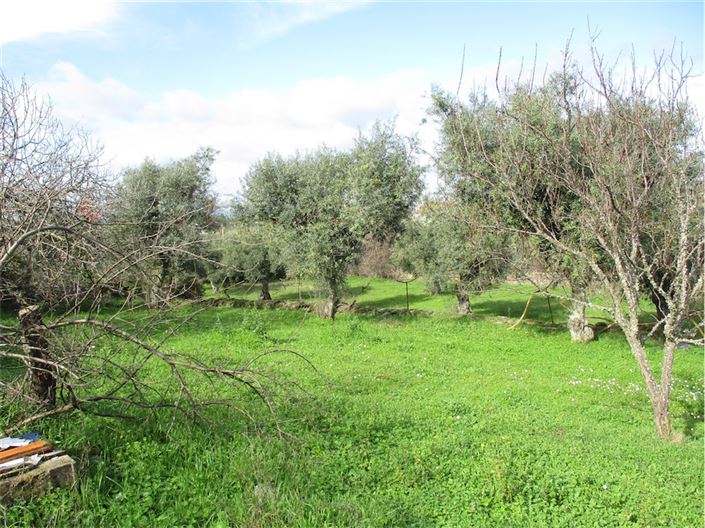 Image No.3-Property for sale