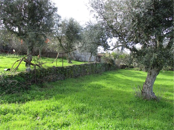 Image No.9-Property for sale