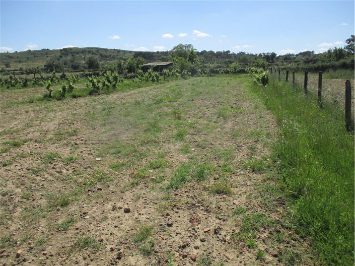 Image No.11-Propriété à vendre à Castelo Branco