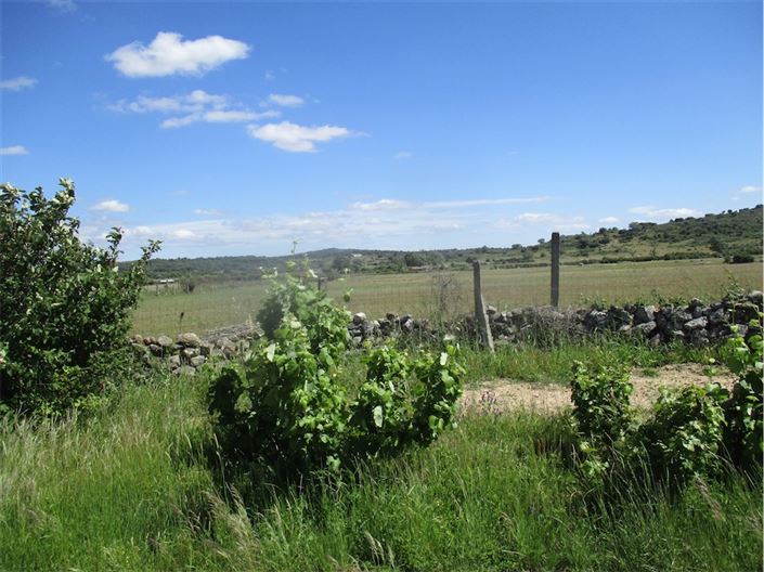 Image No.12-Propriété à vendre à Castelo Branco