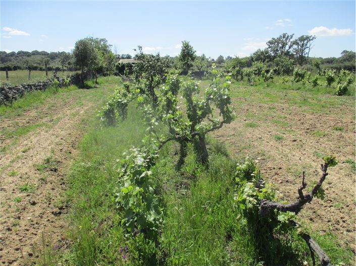 Image No.14-Propriété à vendre à Castelo Branco