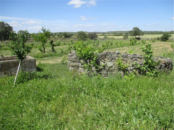 Image No.15-Propriété à vendre à Castelo Branco