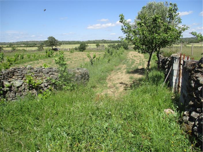 Image No.16-Propriété à vendre à Castelo Branco