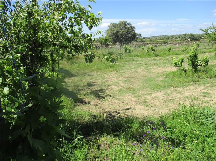 Image No.17-Propriété à vendre à Castelo Branco