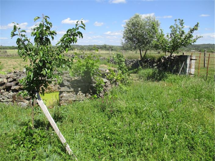Image No.18-Propriété à vendre à Castelo Branco