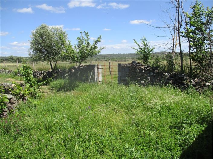 Image No.19-Propriété à vendre à Castelo Branco