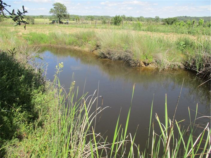 Image No.2-Propriété à vendre à Castelo Branco