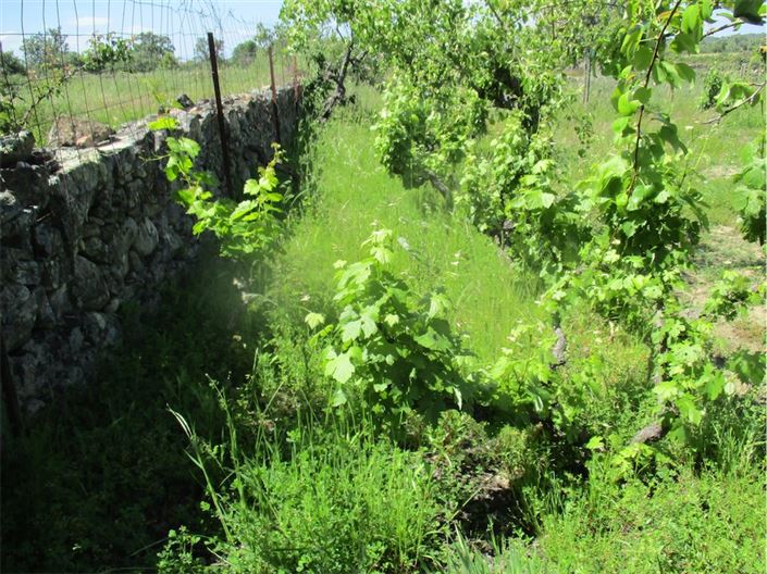 Image No.20-Propriété à vendre à Castelo Branco