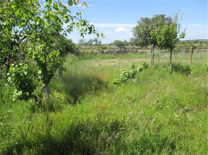 Image No.21-Propriété à vendre à Castelo Branco