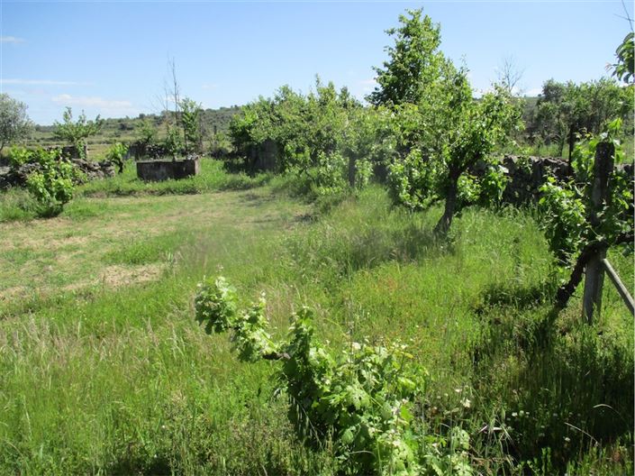 Image No.23-Propriété à vendre à Castelo Branco