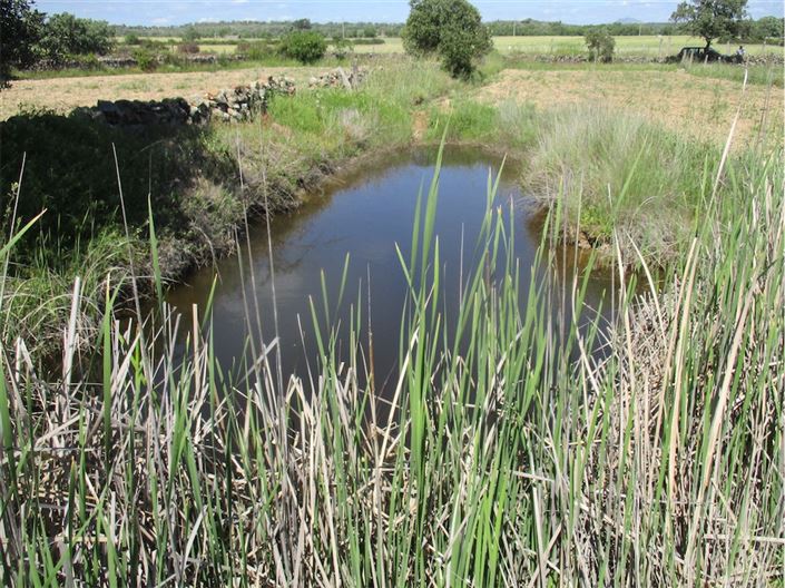 Image No.24-Propriété à vendre à Castelo Branco