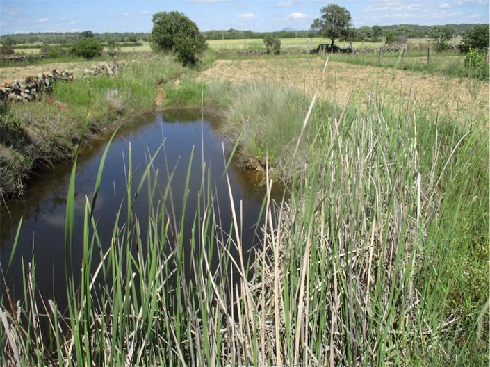 Image No.25-Propriété à vendre à Castelo Branco