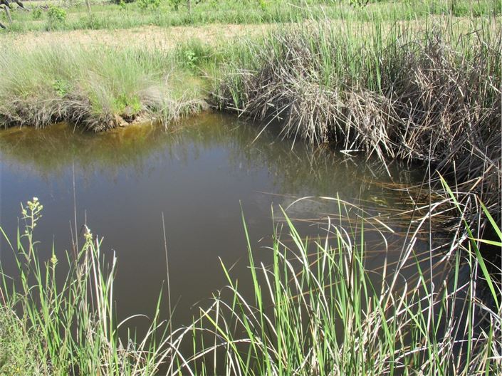 Image No.26-Propriété à vendre à Castelo Branco