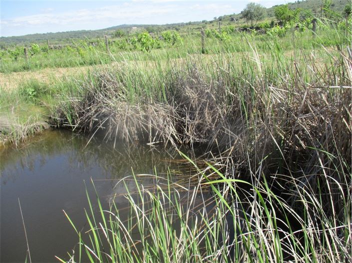 Image No.27-Propriété à vendre à Castelo Branco