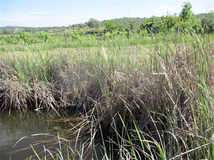 Image No.28-Propriété à vendre à Castelo Branco