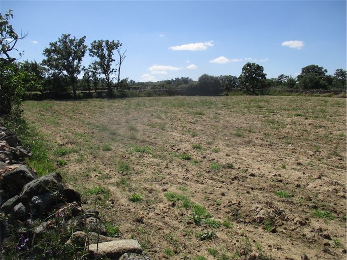 Image No.29-Propriété à vendre à Castelo Branco