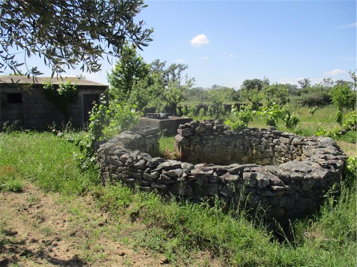 Image No.3-Propriété à vendre à Castelo Branco