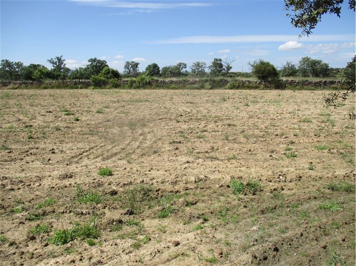 Image No.30-Propriété à vendre à Castelo Branco