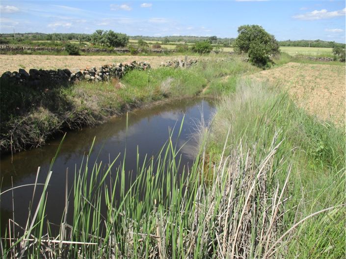 Image No.32-Propriété à vendre à Castelo Branco