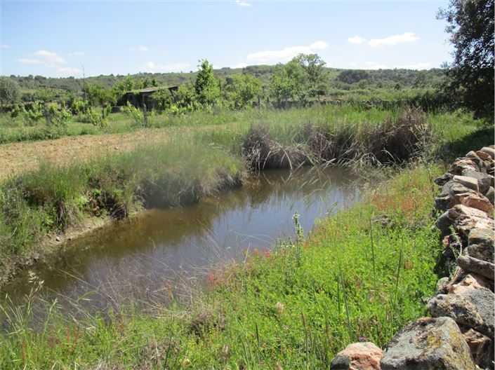 Image No.33-Propriété à vendre à Castelo Branco