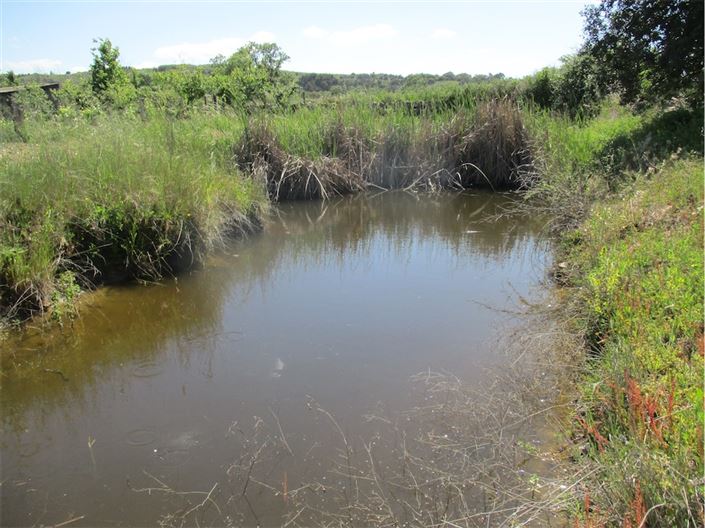 Image No.34-Propriété à vendre à Castelo Branco