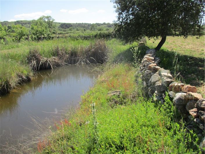 Image No.35-Propriété à vendre à Castelo Branco