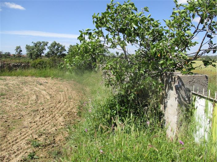 Image No.36-Propriété à vendre à Castelo Branco