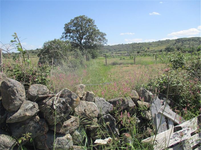 Image No.37-Propriété à vendre à Castelo Branco