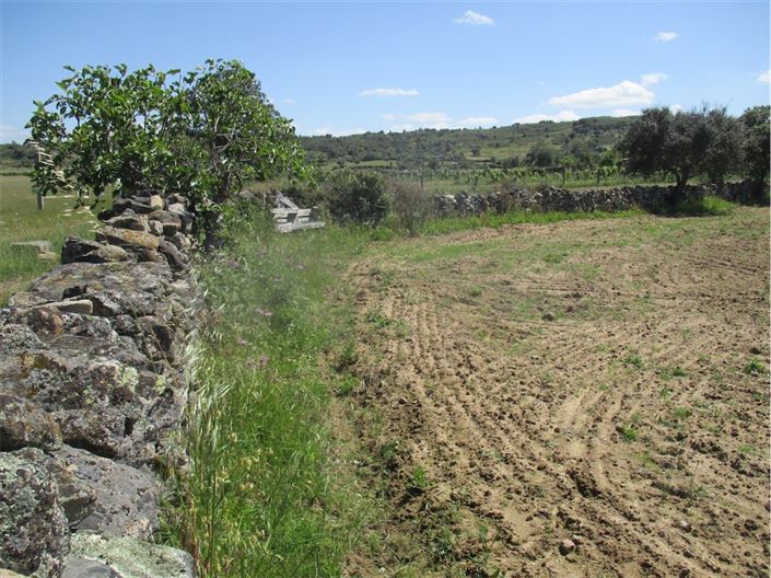 Image No.38-Propriété à vendre à Castelo Branco