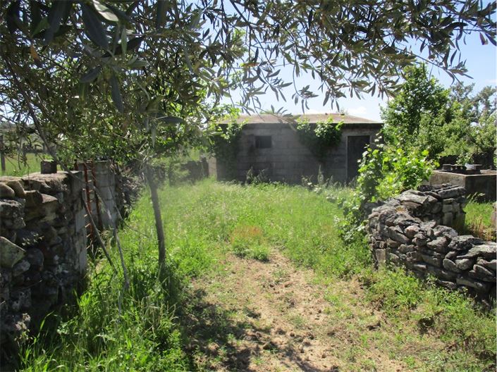 Image No.4-Propriété à vendre à Castelo Branco