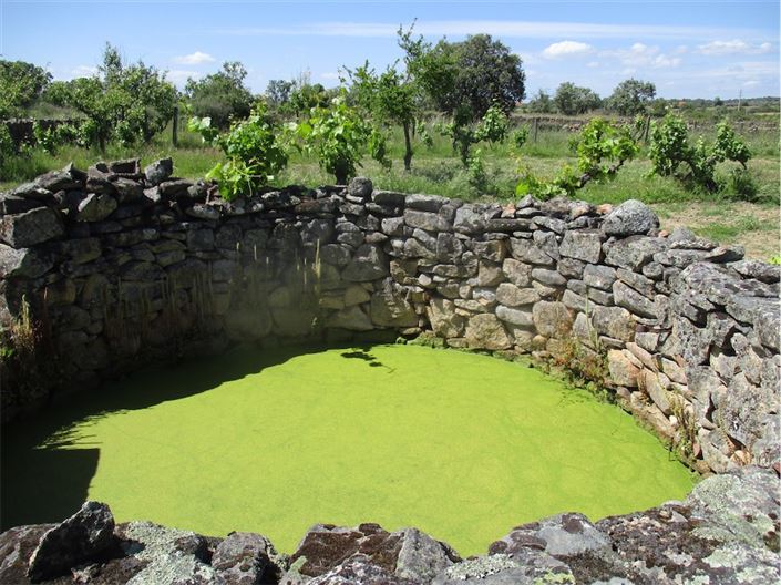 Image No.5-Propriété à vendre à Castelo Branco