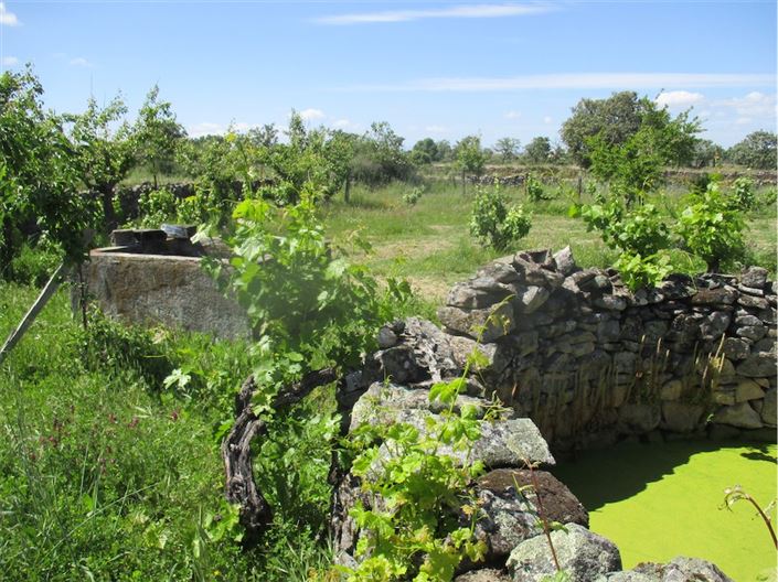 Image No.7-Propriété à vendre à Castelo Branco