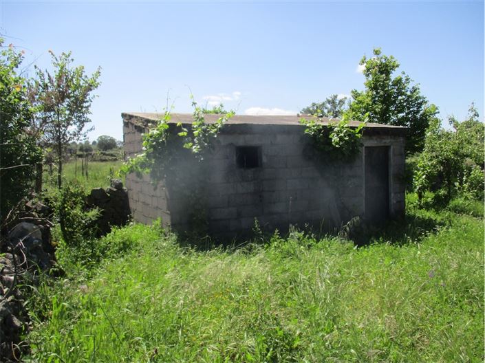 Image No.8-Propriété à vendre à Castelo Branco