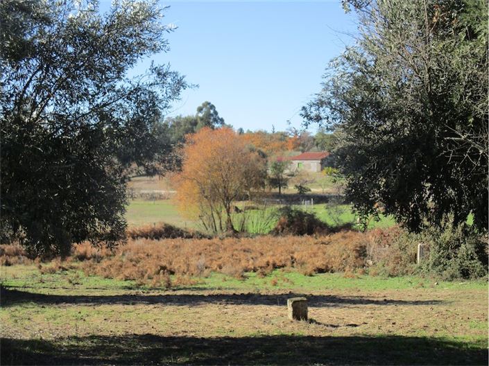 Image No.10-Property for sale