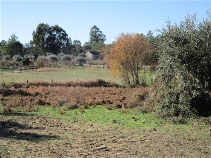 Image No.11-Property for sale