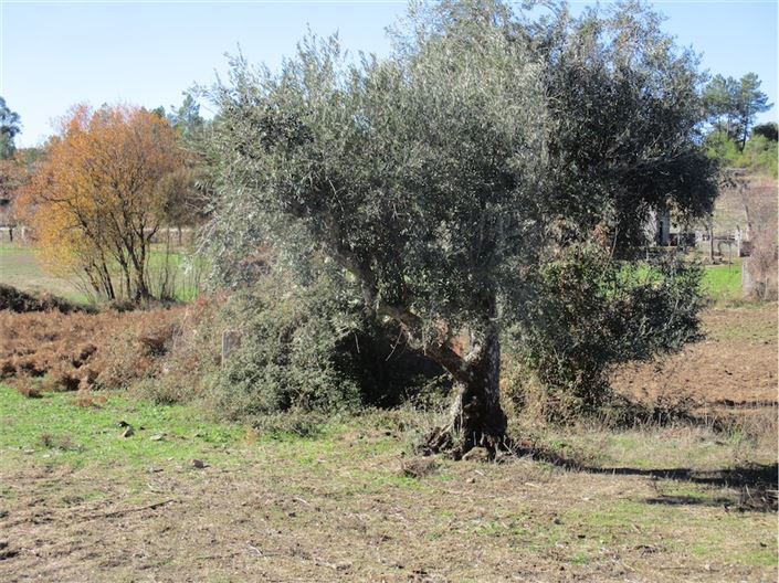 Image No.12-Property for sale