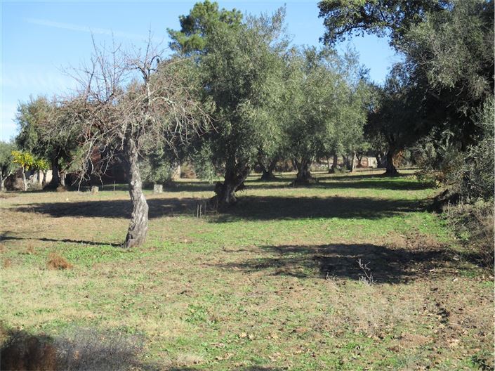 Image No.1-Property for sale