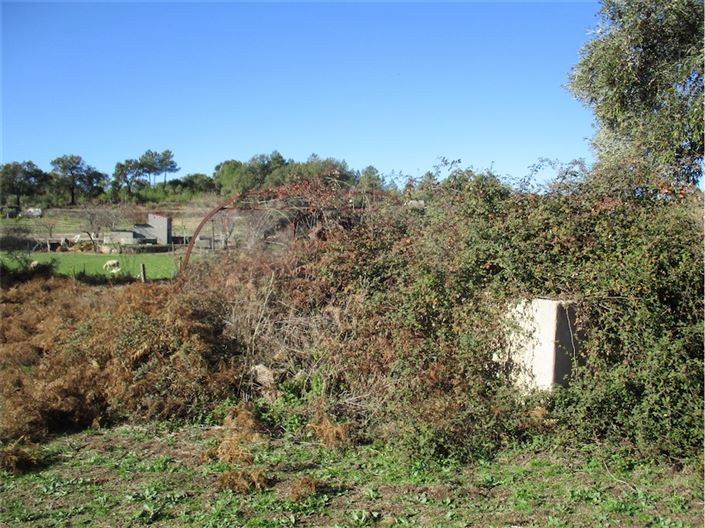 Image No.14-Property for sale