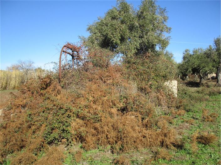 Image No.15-Property for sale