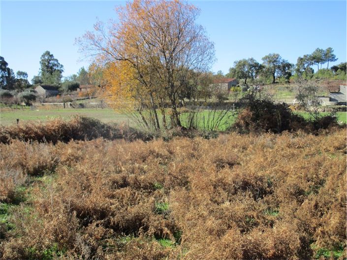 Image No.16-Property for sale