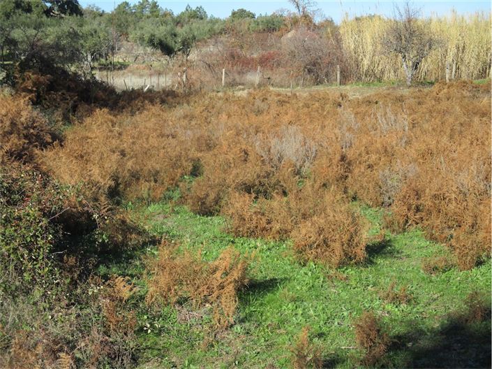 Image No.17-Property for sale