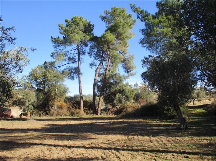 Image No.2-Property for sale