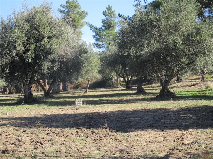 Image No.3-Property for sale