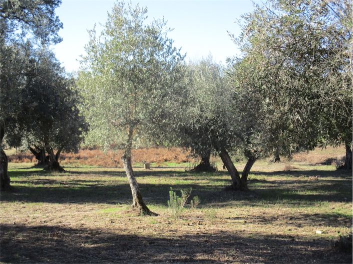 Image No.4-Property for sale