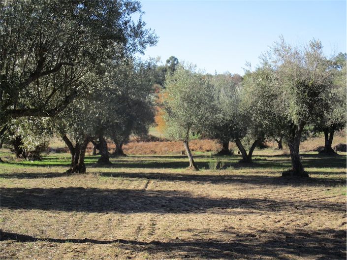 Image No.5-Property for sale