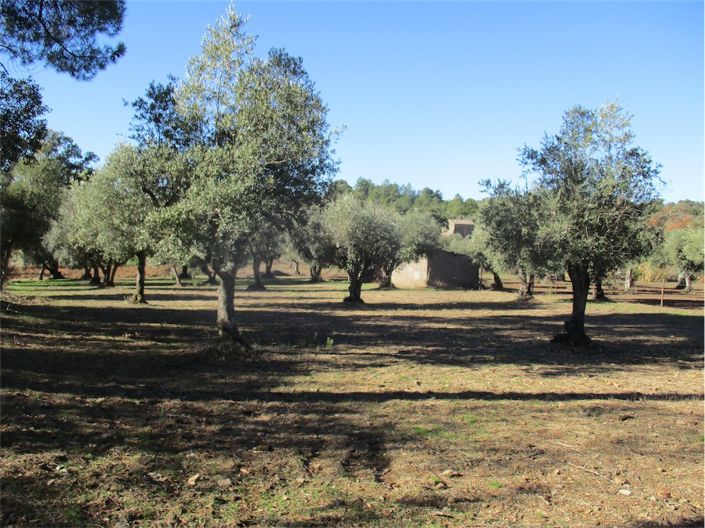 Image No.6-Property for sale