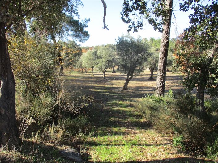 Image No.7-Property for sale