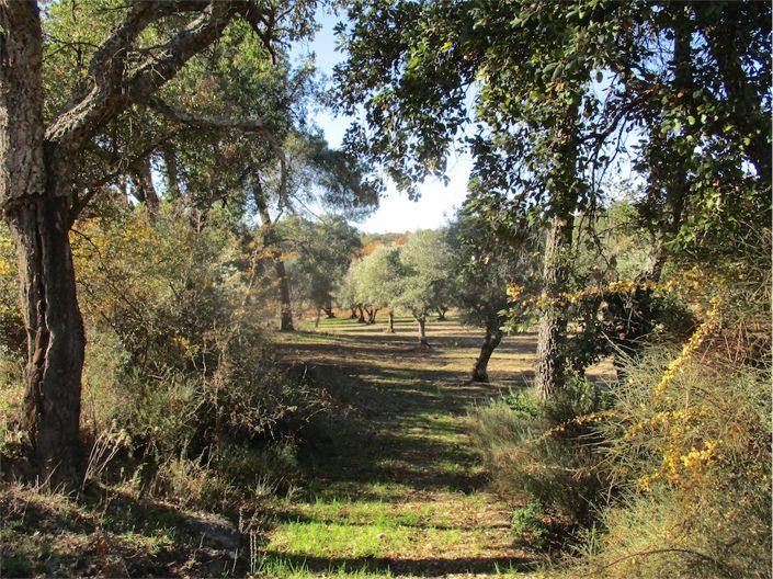 Image No.8-Property for sale